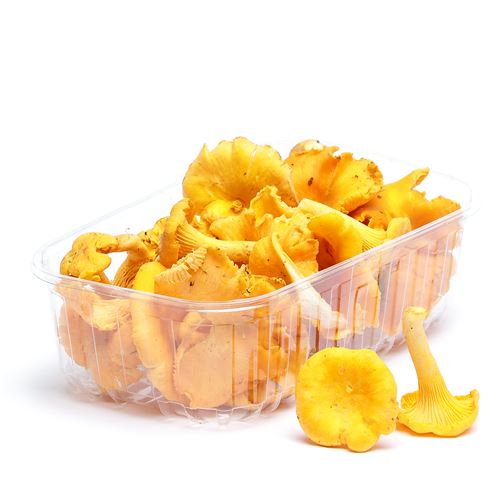 Kantareller